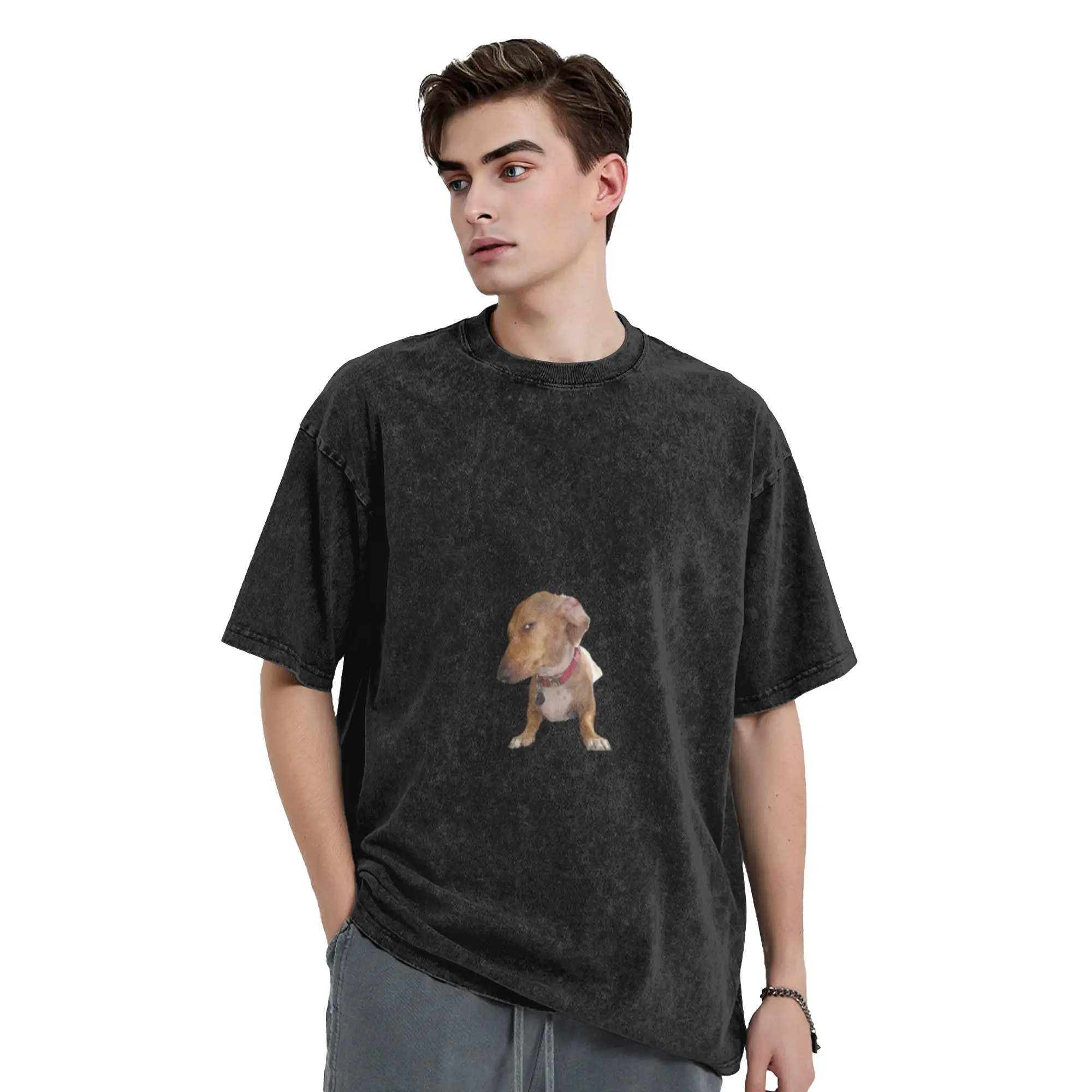 Judging Dog Meme Sticker   Side Eye Dachshund   Suspicious Dog Reaction Meme  A Vintage Oversized Cotton Unisex T-Shirts