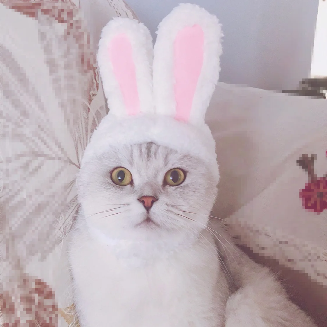 Halloween Carnival Party Props Cat Head Cover Cute Rabbit Ears Costume Hat Kitty Headwear Funny Pet Easter Bunny Cos