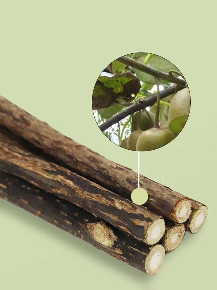 15 Stück/30 Stück Natürliches Matatabi-Katzenminze-Spielzeug für Kätzchen, Kaustick zur Zahnreinigung, Katzensnack-Spielzeug, Actinidia Silvervine – Detail 3