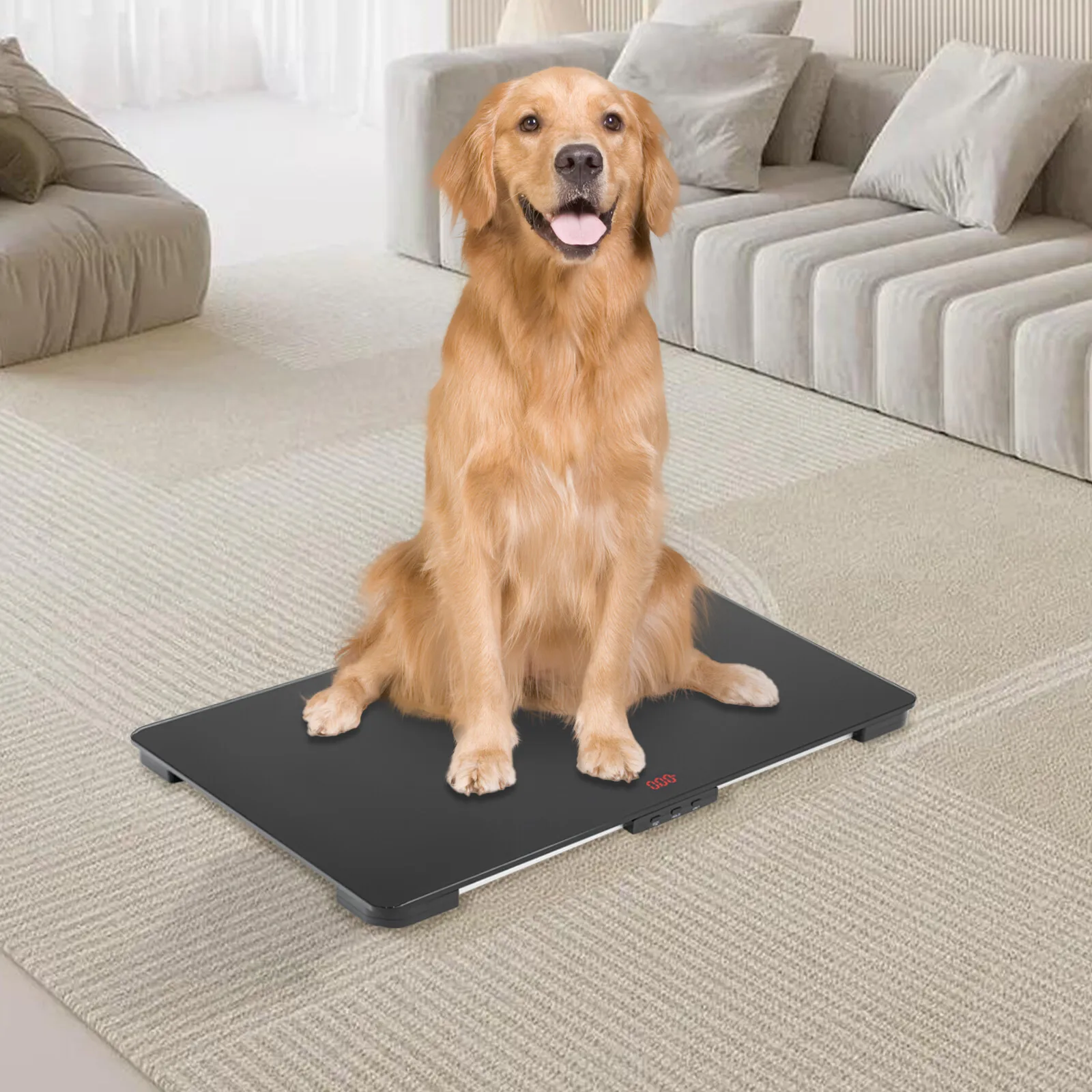 

Pet Weight Scale, 65x45cm Black Platform Scale 220lb/100KG, Shipping and Postal Scale, Tempered Glass Scale for Dog Cat