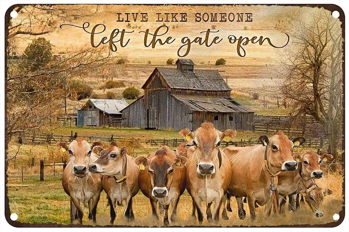 Vintage Metal Tin Sign Live Like Someone Left The Gate Open Cow Rustic Wall Decor For Home Bedroom Bar Cafe Club 8X12Inch