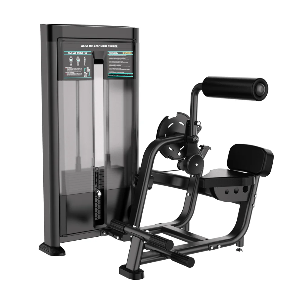 Professional Dual-Function Back Trainer Commercial/Home Gym Double Pull-Back Machine 2025