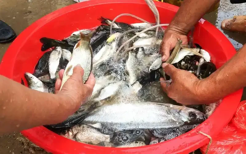 

1 шт. металлический 25 т сервопривод рулевой рожок для 1/10 радиоуправляемого гусеничного автомобиля