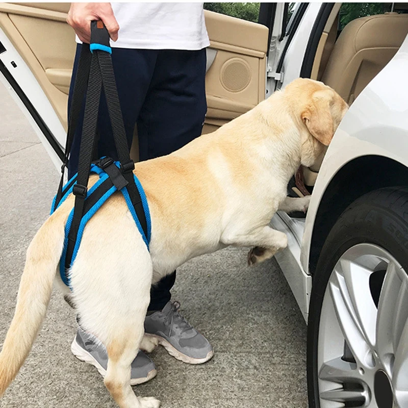 Adjustable Dog Lift Harness Pet Support Sling Pet Dogs Aid Assist Tool for Old Dogs for Back Legs Help Weak Rear Legs Stand Up