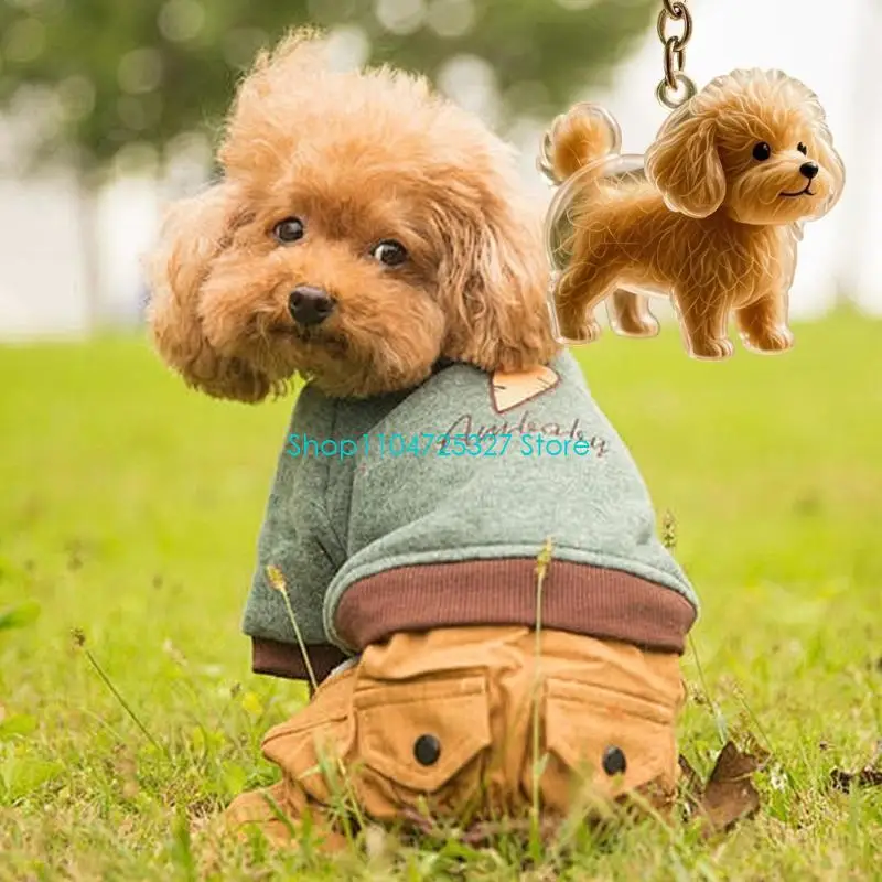 D8KF Clear Dog Hair Storage Box Keychain Memorial Jewelry With Secure Pet Loss Keepsakes For Emotional Supporting Gift