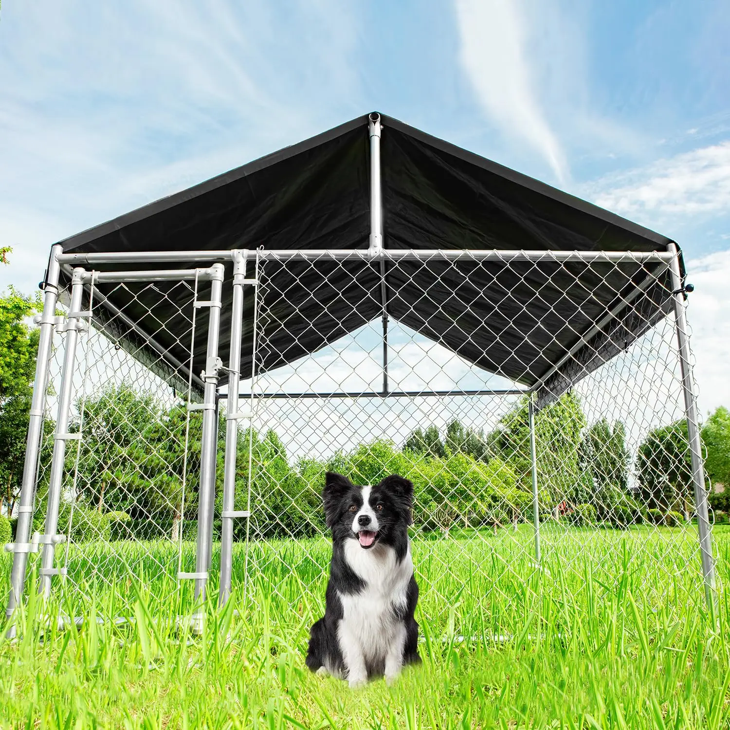 Heavy-Duty Outdoor Dog Kennel - đánh giá và giá Security Chain Door