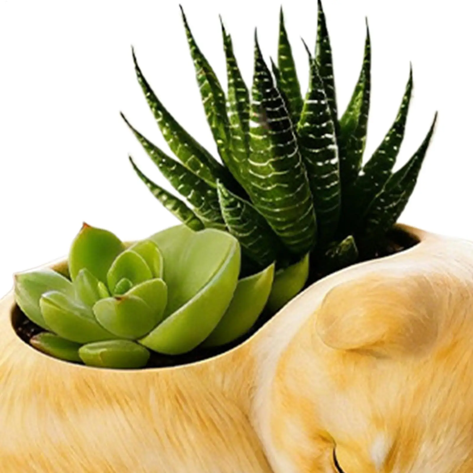 

Flower Pot Silicone Mold Curled-up Sleeping Cat DIY Mould Trinket Storage Holder Silicone Mold For Candle Holder Succulents