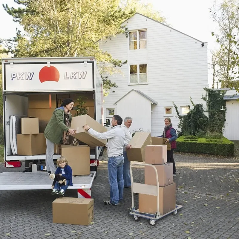 Wózek płaski Żelazna płyta Samochód Składany wózek do ciągnięcia Przechowywanie Biuro Gospodarstwo domowe Przenośna przyczepa czterokołowa Lekka