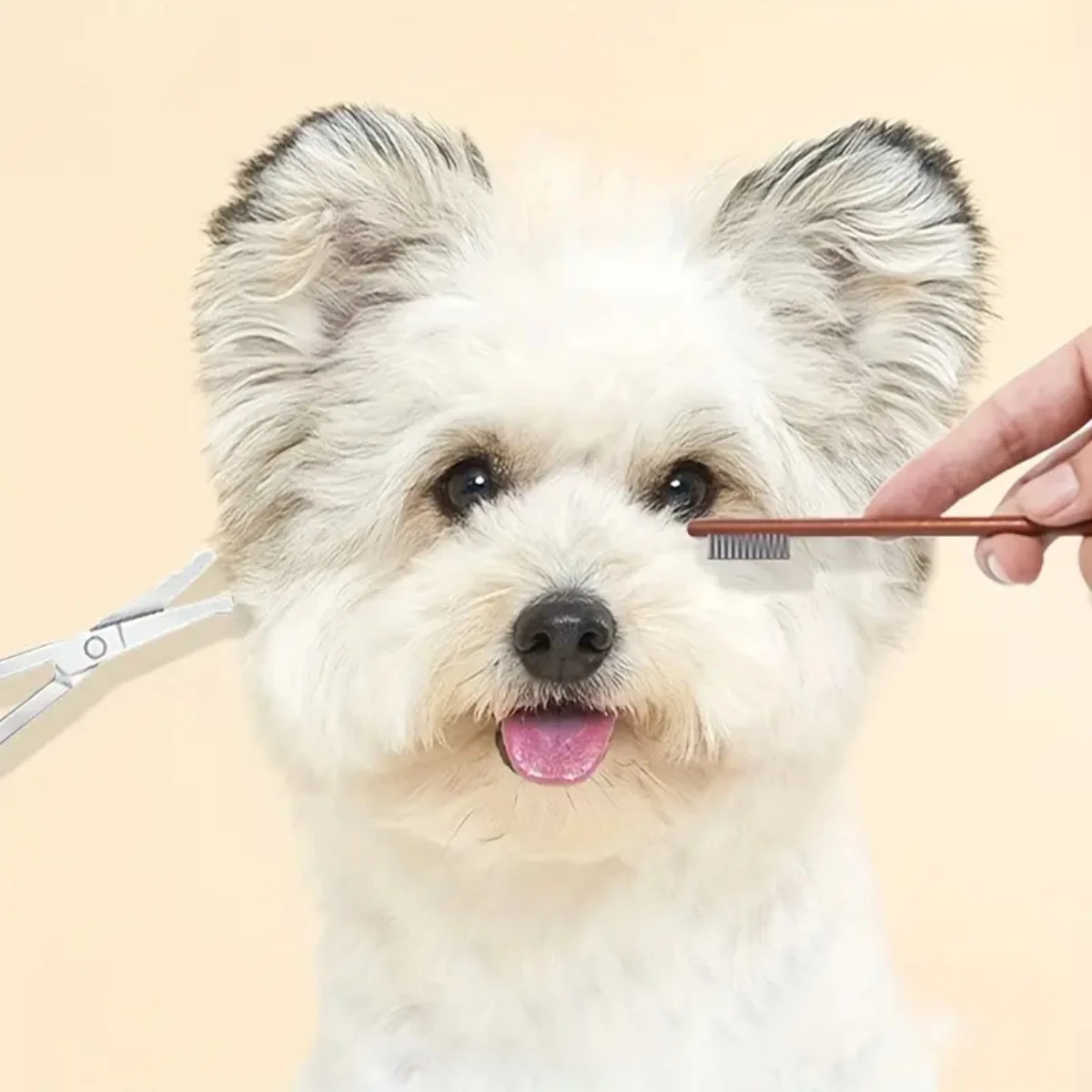 Pet Facial Cleaning Comb Removes Tear Stains Eye-poop Comb Dog Hair Repair Scissors Cat Hair Comb Pet Clean Supplies Accessories