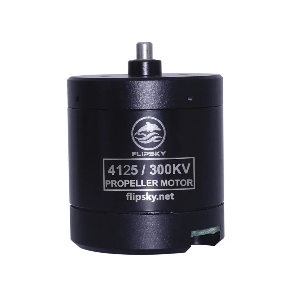 New F4125 300KV 410W Brushless Motor for Direct Drive Propeller/Efoil