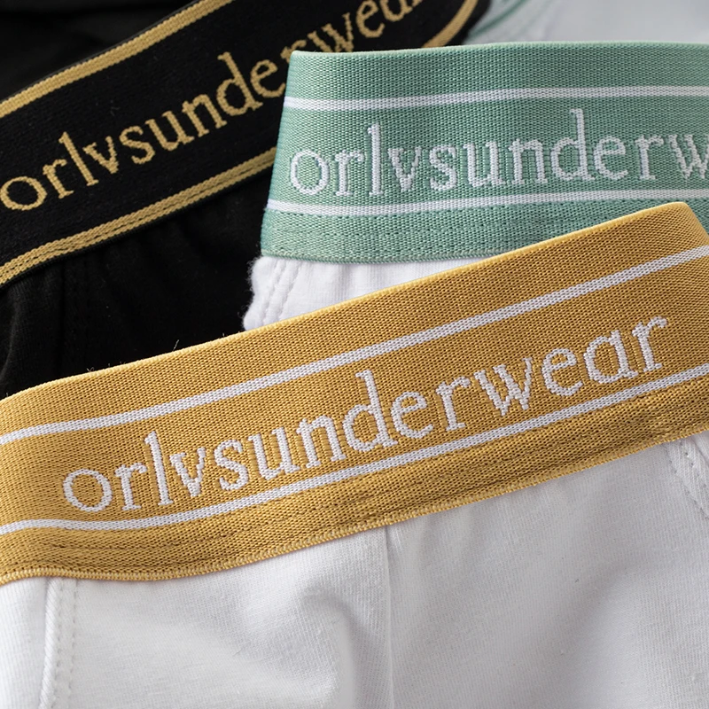 Men's Ultra-thin Panties Summer Men's Erotic Lingerie G-string Sexy Safari Panties Low Underwear Sexy Adult Man Hot Man Brief