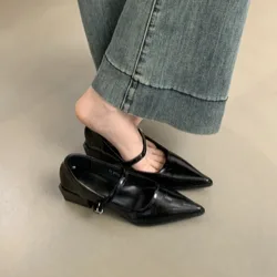 2024 Designer Black Thick Heel Mary Jane Shoes Women's Shoes New Versatile Pointed Shallow Mouth High Heels Commuter Shoes