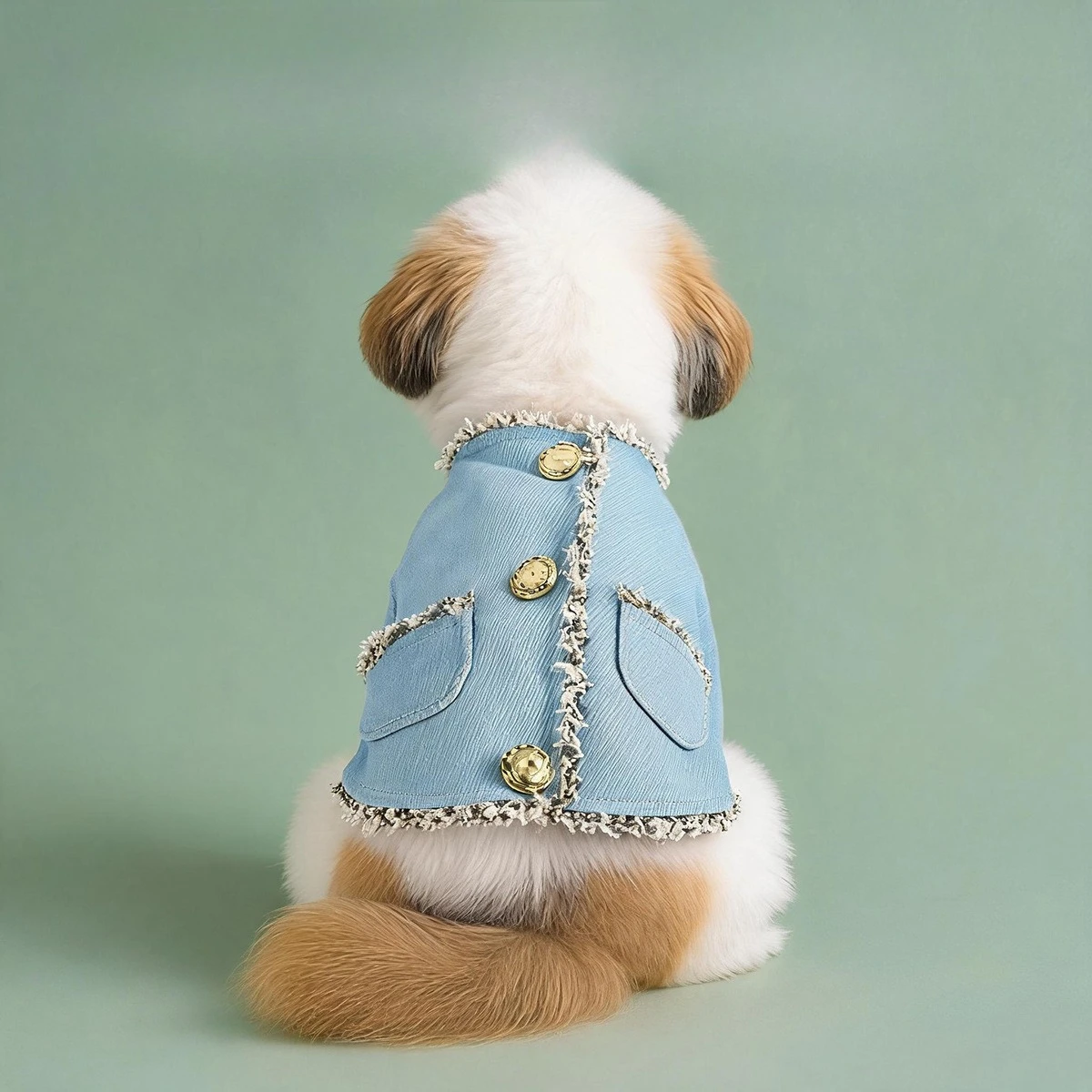 Pet Autumn and Winter Denim Coat Small Dog Embroidery Coat Dog Clothes for Small Dogs Puppy Clothes