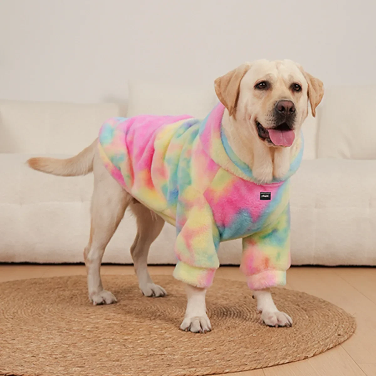 

Winter cross-border popular pet hoodie tie dyed rabbit hair rainbow dog hoodie