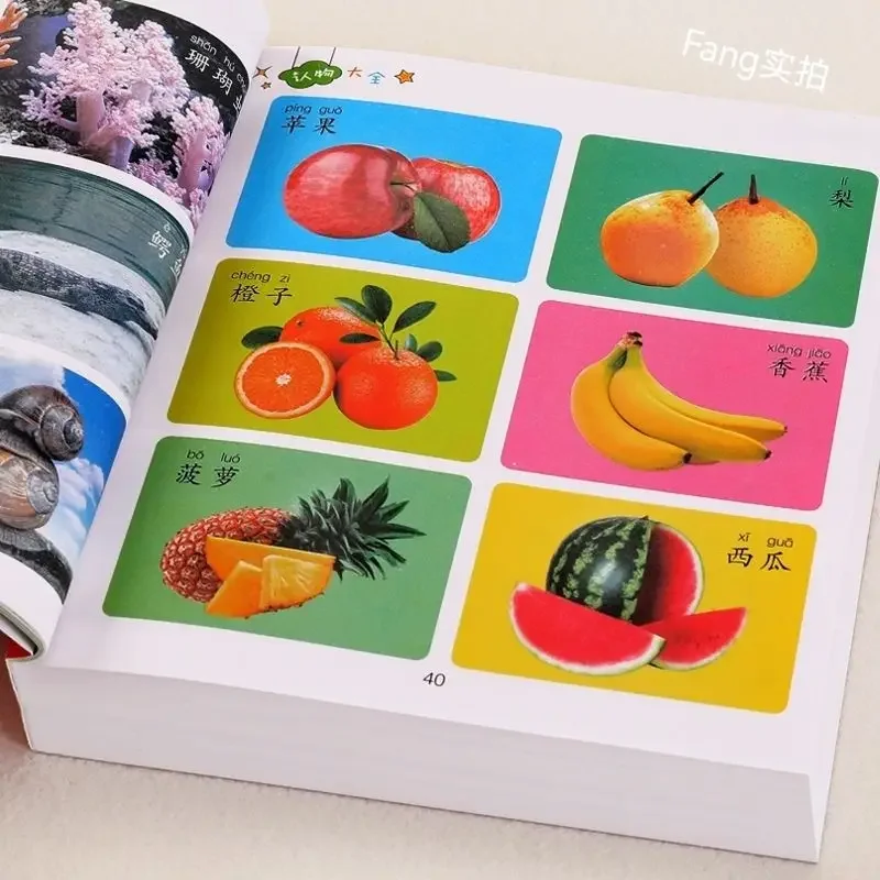 

Recognition of Things: Children's Early Education Enlightenment Cognitive Books Baby Reading Pictures Literacy Cards Books