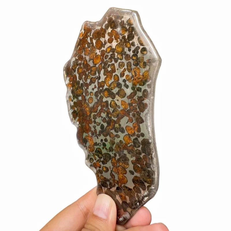 Sericho Pallasite Meteorite Polished Irregular Slice Natural Olivine Grain Space Rock Collectible Ornament QA873