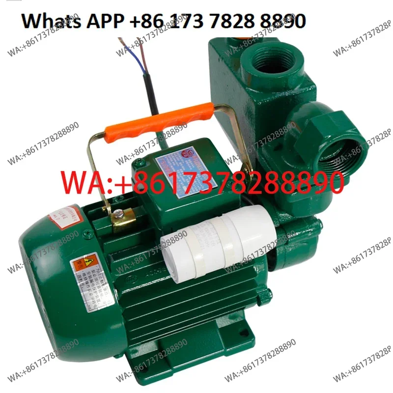 Water pump household 220v Guangdong household booster pump, high lift water pump self-priming pump horizontal centrifugal view 5
