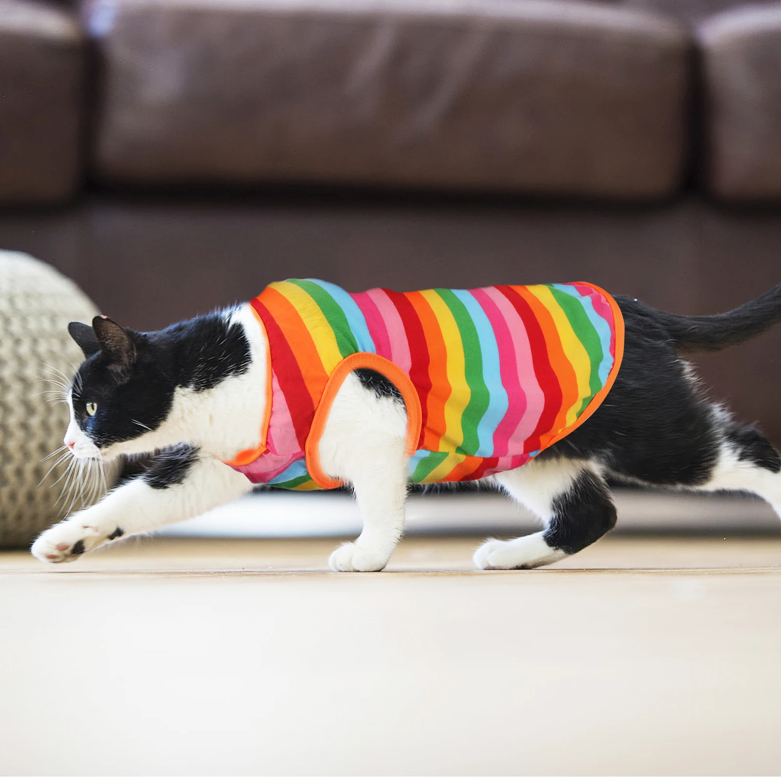 

Rainbow Pet Vest All Supplies Cute Dog Clothes Summer Corgi Chihuahua Puppy Shirts