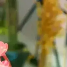 

1Pcs Anti Stress Sensory Fidgets Toys Soft Simulated Transparent Blue Maltose Slow-rebound Decompression Toy