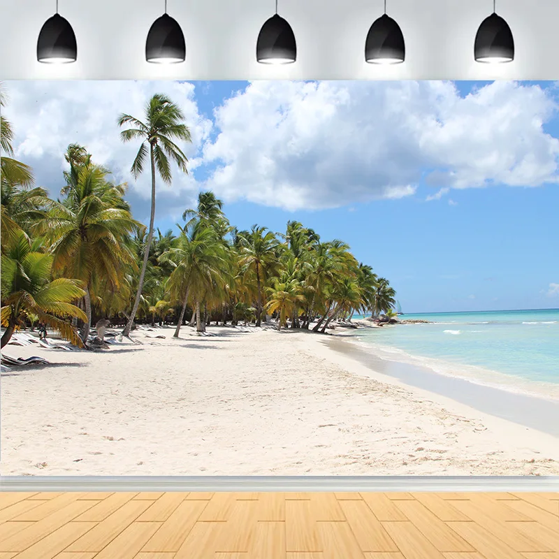 Кокосовая пальма, остров, пейзаж, песчаный пляж, фон для фотосъемки, тропическое море, голубое небо, облако, фон для фотостудии SD-06