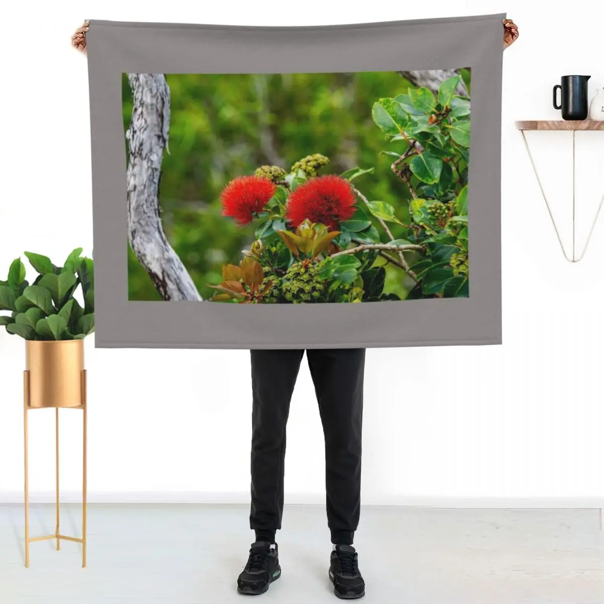 Lehua Twice Throw Blanket Hairys Furrys Single Winter beds Cute Plaid for sofa Blankets