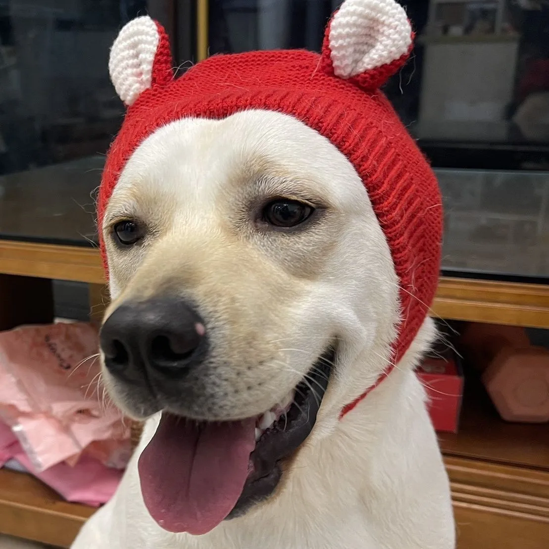 Winter Warm Dog Ear Muffs Knitted Noise Protection Windproof Pet Ears Covers for Small Medium Puppy Outdoor Accessories