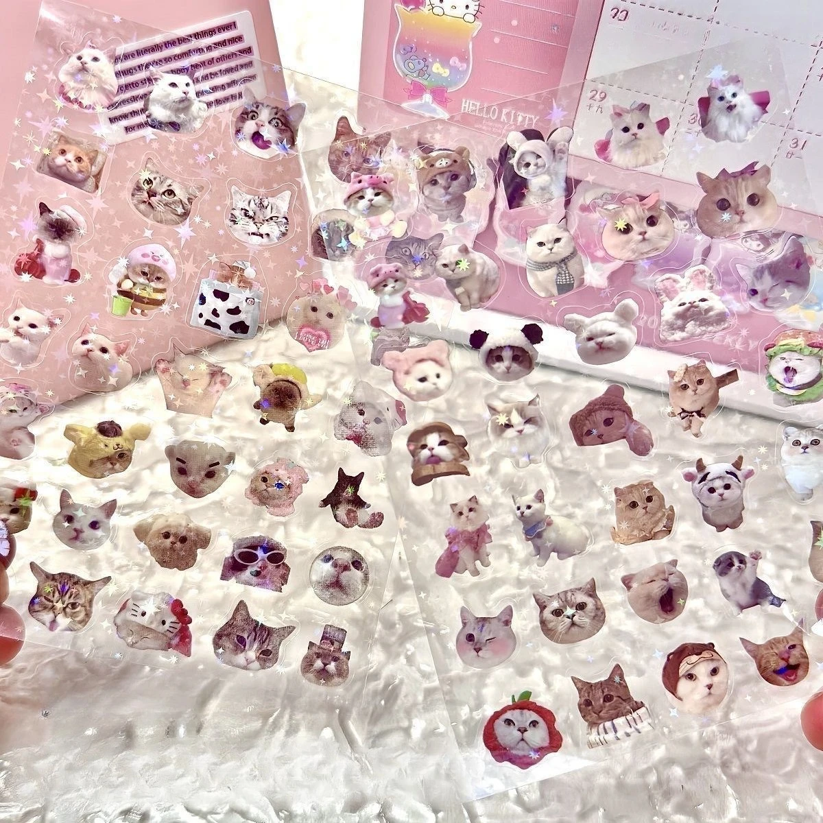 10PCS Cartoon Cat Stickers Funny MEME High-value Double-transparent Sticker Scene Decoration Material Hand Account Laser Decal