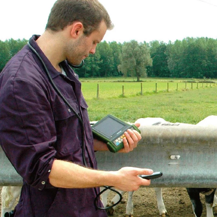 노트북 수의학 초음파 스캐너 휴대용 초음파 고급 이미징 기술 중국에서 신뢰할 수 있는 수의학 초음파