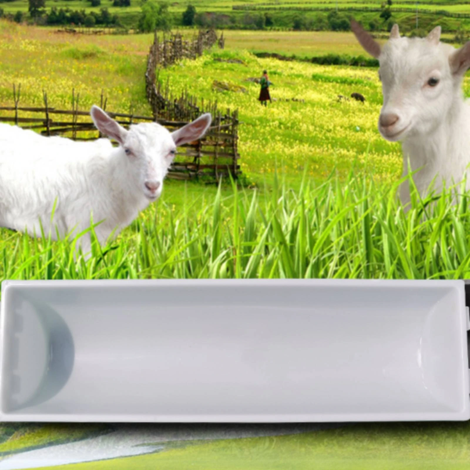 Feeding Trough Rectangular Livestock Trough Livestock Feeder Long Versatile for Cattle, Farm, Pasture