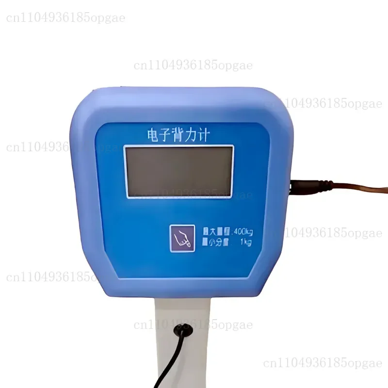 Electronic Back Force Meter, BCS-400 Type, Back Lumbar Muscle, Functional Evaluation and Physical Fitness Test