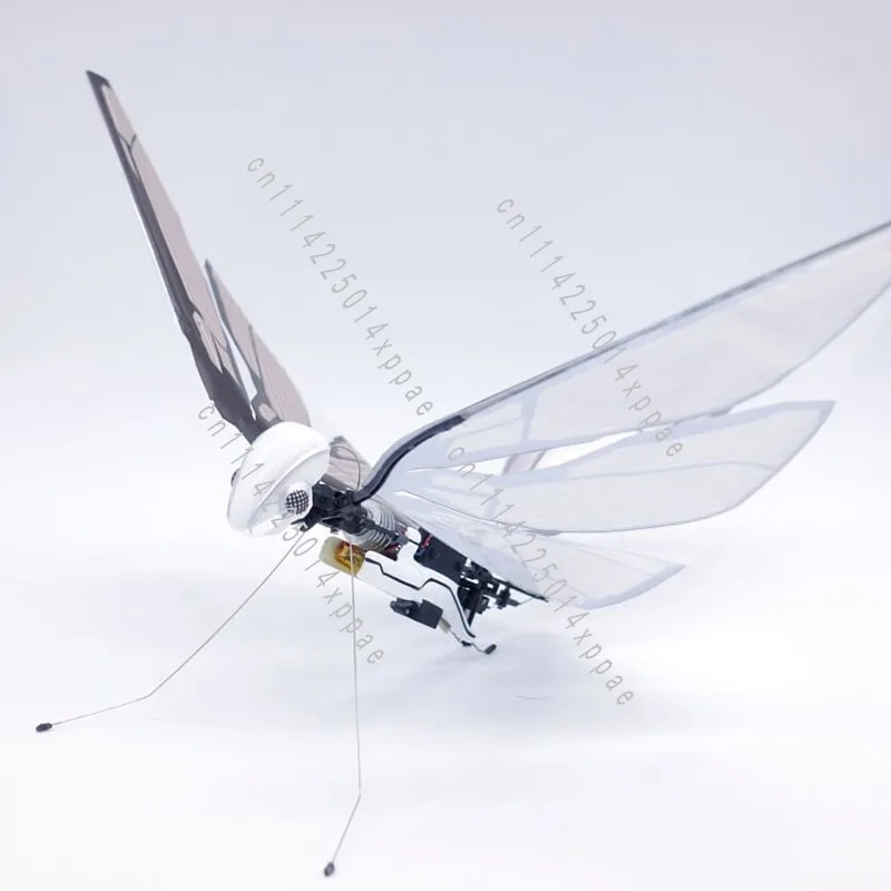 Insect Bird Science Children's Small Toys Remote Control Bionic Bird Flyer Flapping Wings