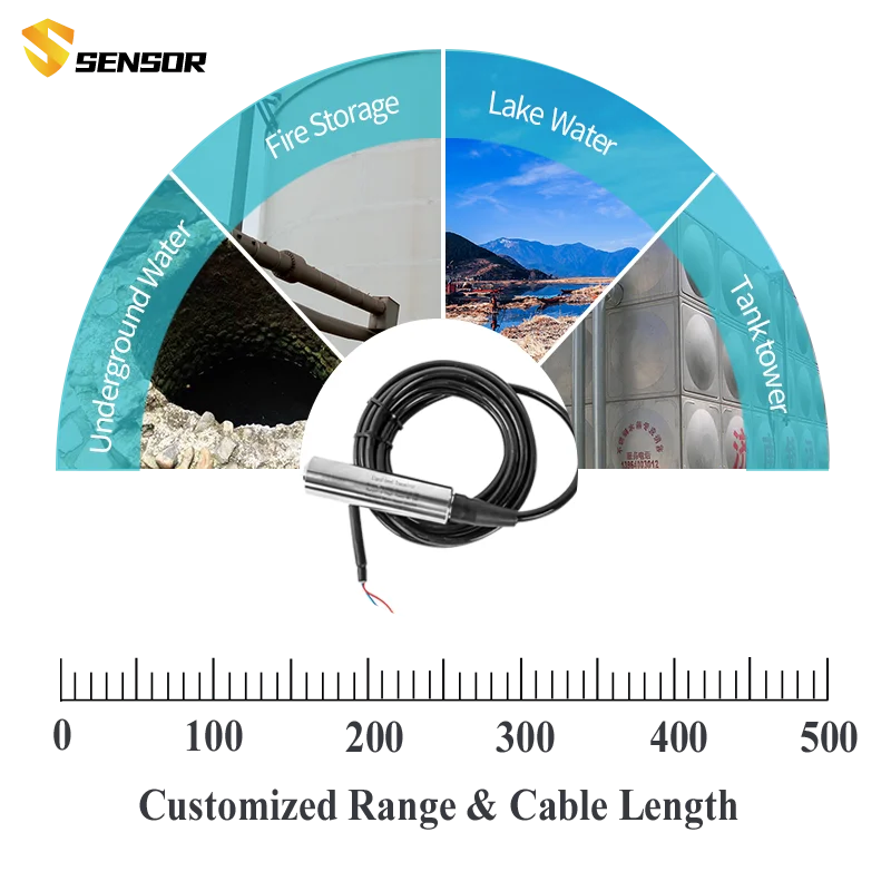 2M 3M 5M Range Liquid Level Sensor DC24V Power 4-20mA 0-10V 0-3.3V RS485 Submersible Water Level Sensor Transmitter