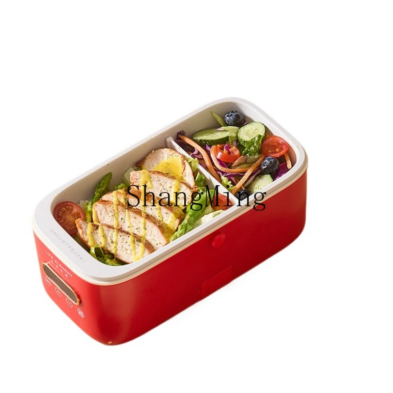 

ZYY multifunctional pluggable heating and insulation lunch box office workers hot rice with rice artifact