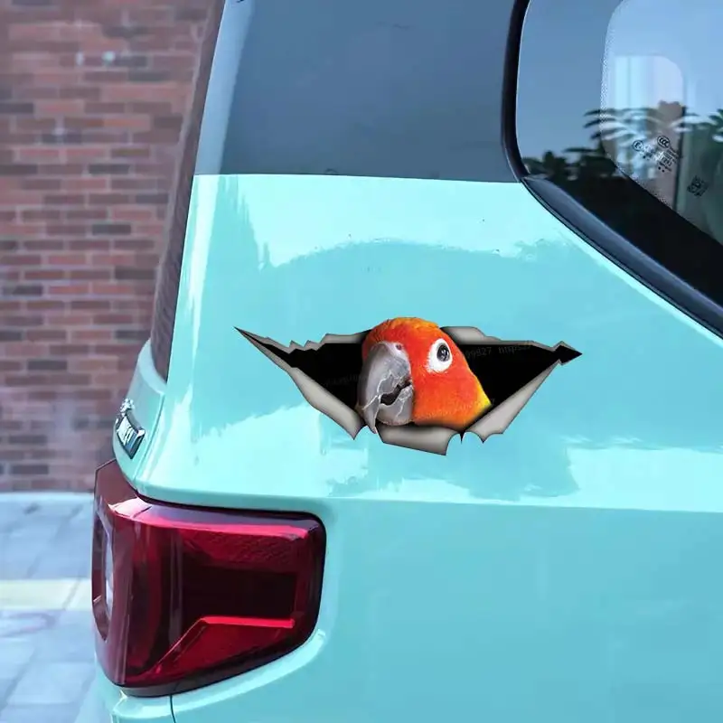 Sun Conure Parrot Car Sticker Waterproof Vinyl Decal on Bumper Rear Window Laptop Self-adhesive Decal For Car Accessories SH138