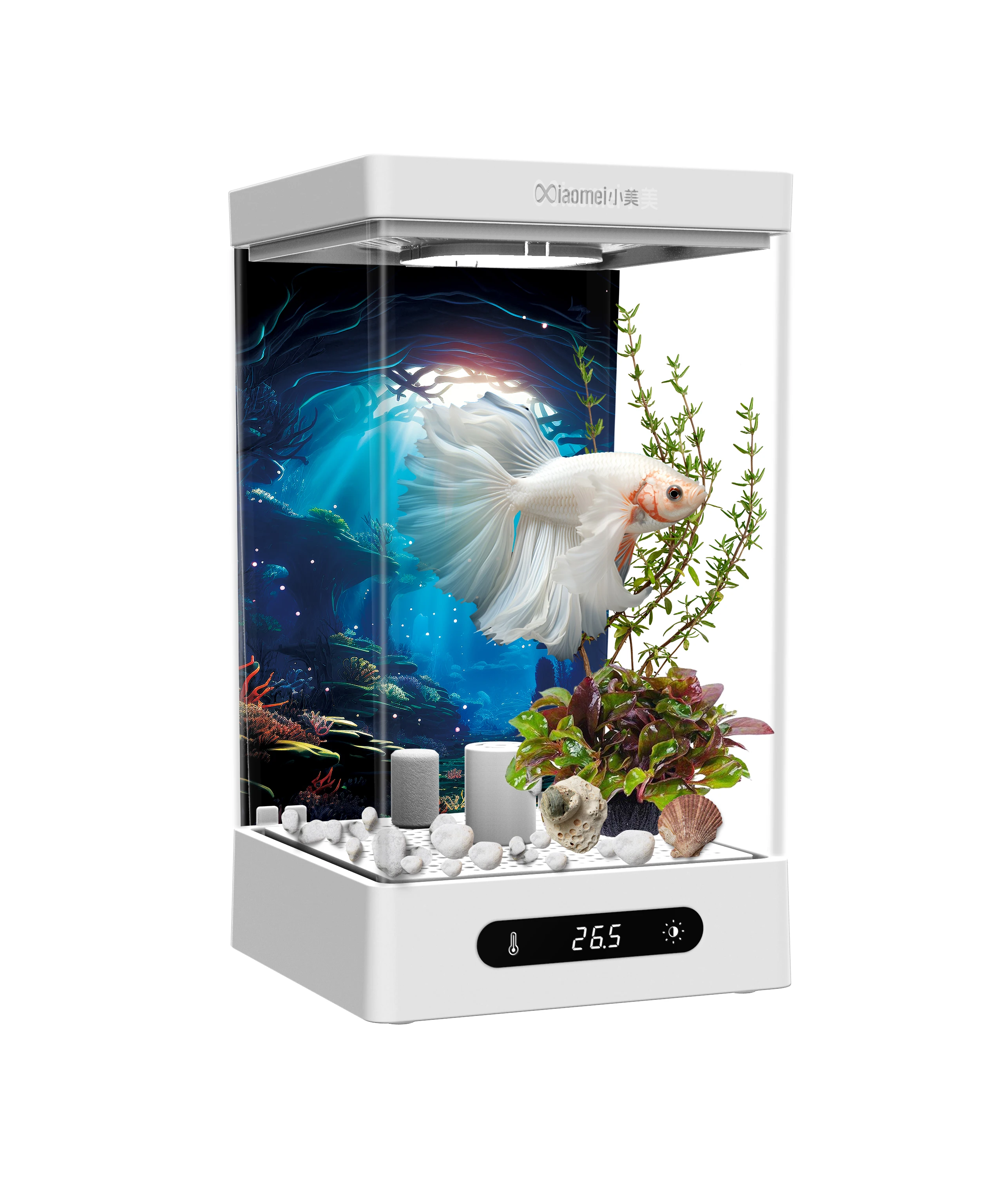 

Best Selling Small Smart Fish Tank With Two Color Optional And Heightening Pad For Ornamental Fish