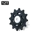 black-12t