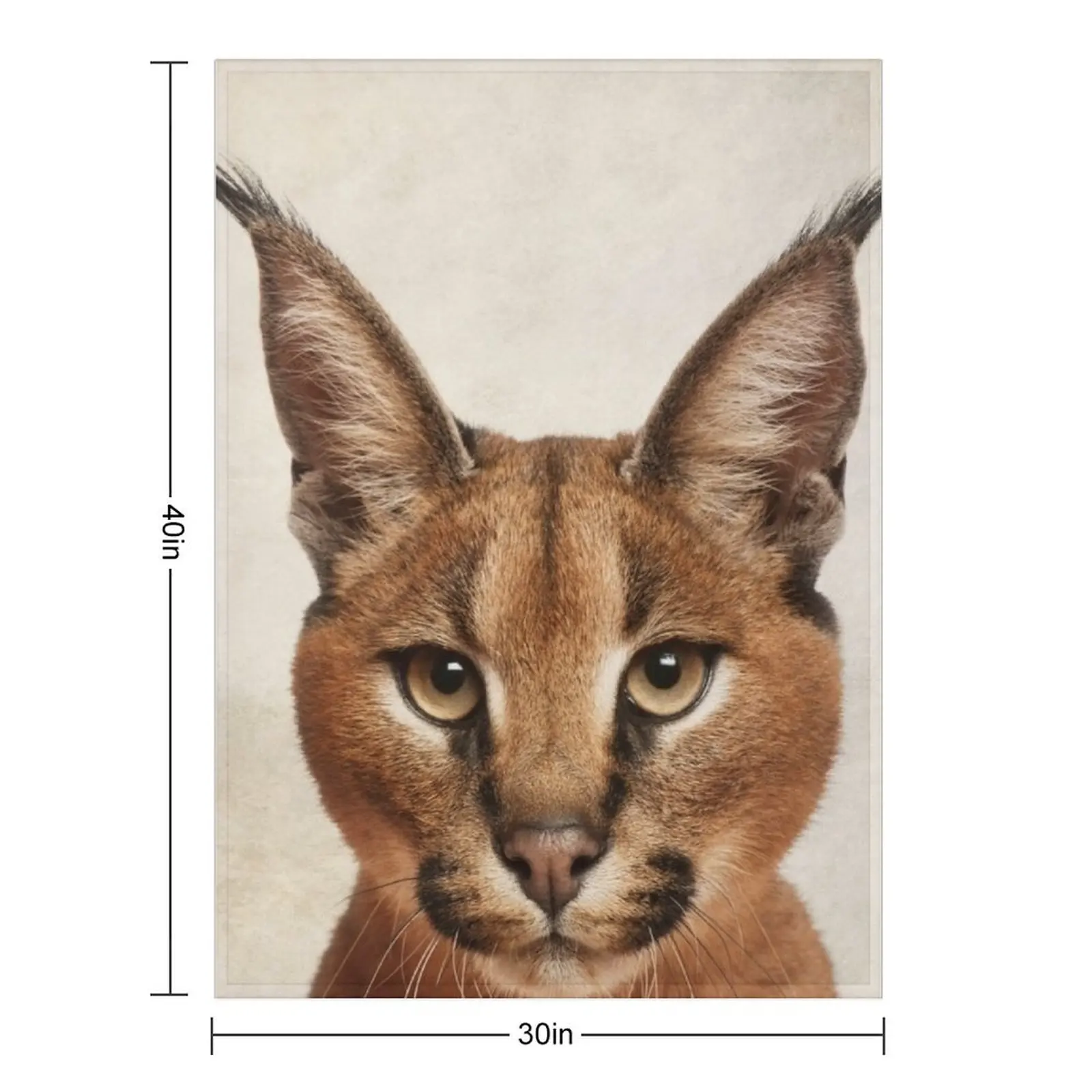 Caracal Cat Art، بطانية رمي صورة حيوانات سافانا، بطانيات زخرفية فاخرة وسميكة عتيقة