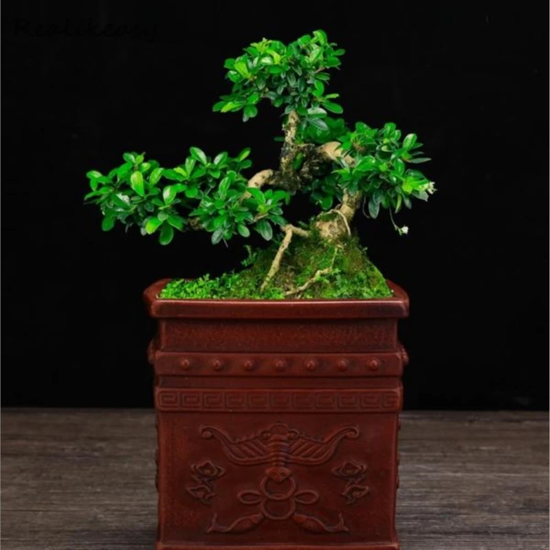 4Sizes 2025 Purple Sand Flower Pot Antique Square Flower Pot New Ceramic Desktop Orchid Succulent Flower Pot Home Decor LF658