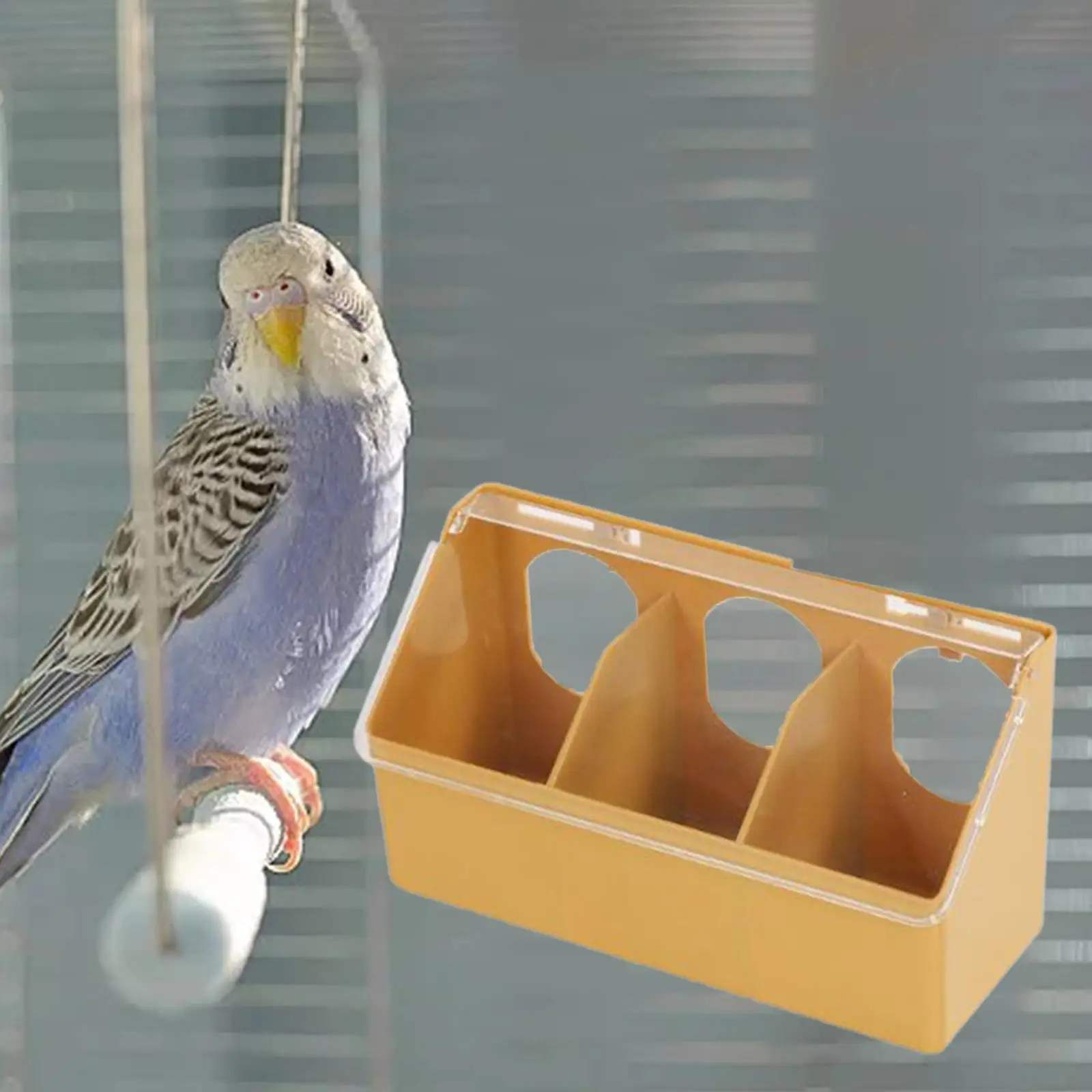 Pigeon Feeder Pigeon Three Hole Hanging Cage Box for Bird Cage Breeding Cage Pigeon Pairing Cage Pigeon Cage Parakeet Cage