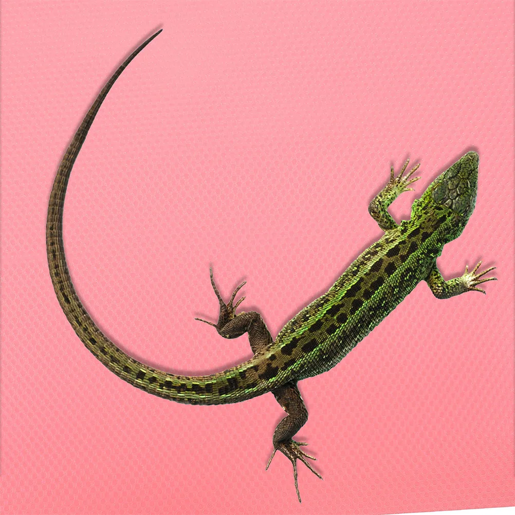 

Soft Eva Reptile Carpet Foldable Substrate Mat Washable Reusable Terrarium Liner for Bearded Dragon Gecko Snake Tortoise