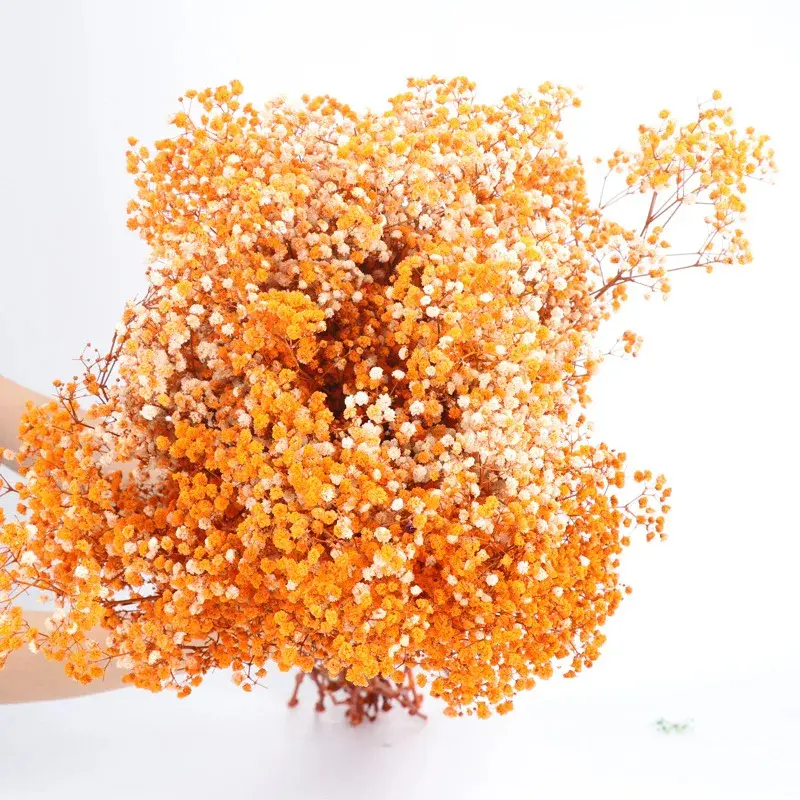 80g Mix Gypsophila Baby Breath Dried Flower Bouquet Boho Wedding Photo Prop Decoration Preserved Gypsophile Home Room Vase Decor - Image 11