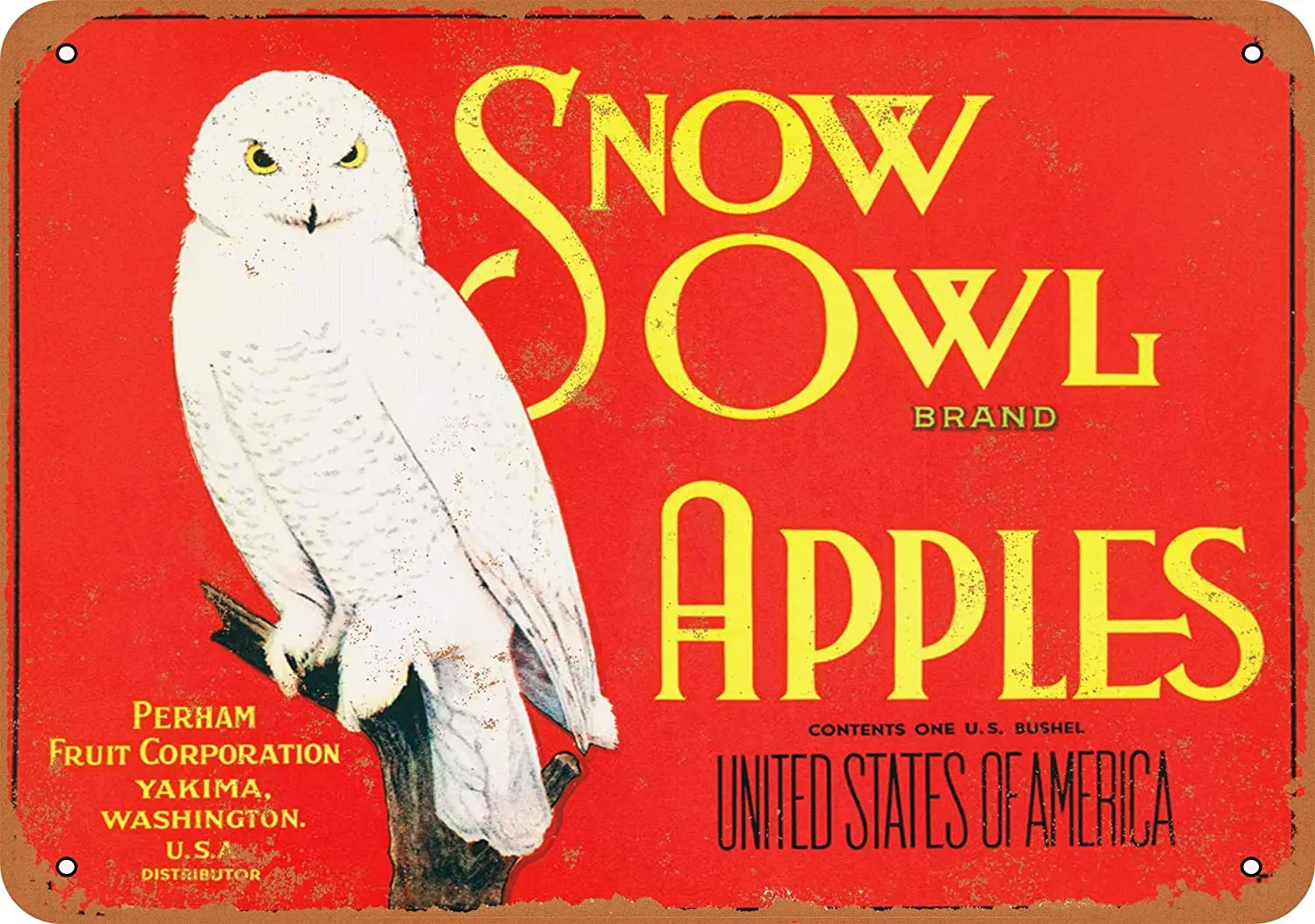 Wall-Color 7 x 10 Metal Sign - Snow Owl Apples - Vintage Look sign