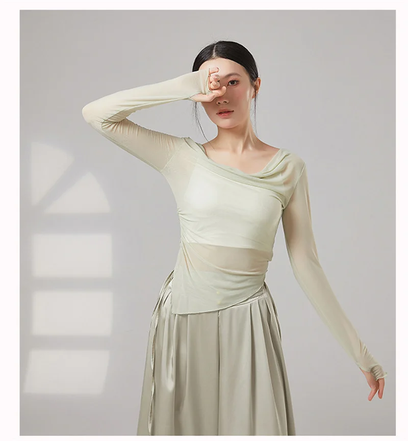 Damen Transparentes Mesh-Tanzoberteil Langarm Atmungsaktive Durchsichtige Enganliegende Bluse Klassisches Modernes Latein-Tanz Übungskostüm – Detail 3