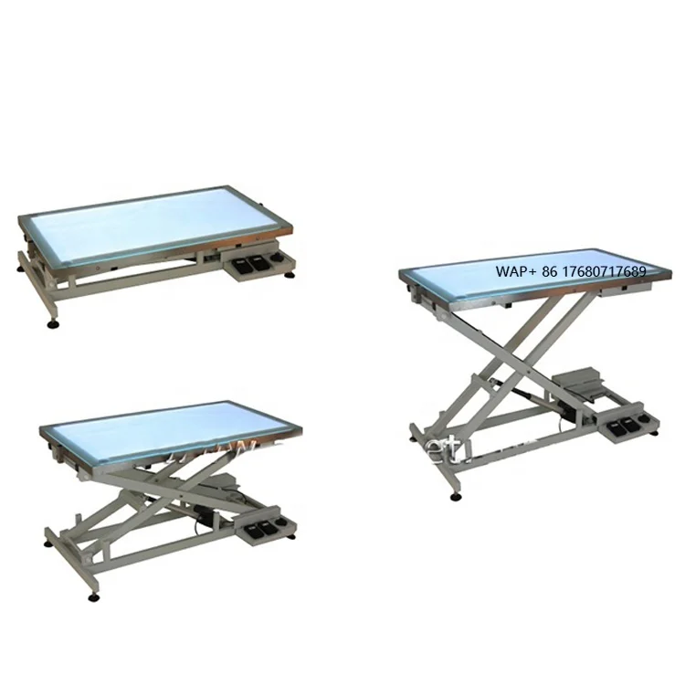 Electric Veterinary Grooming Lifting Table Trimming Drying Grooming Table  with LED Light