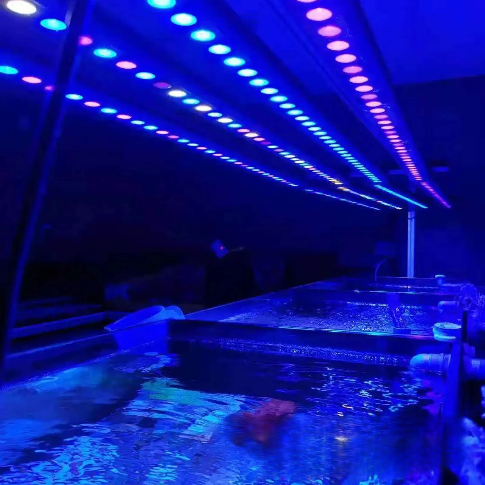 LED Fish Tank Light Blue and UV 2/3/4/5ft Aquarium Light Bar Landscape Smart Dimming Timer Full Spectrum LED Fish Tank Light