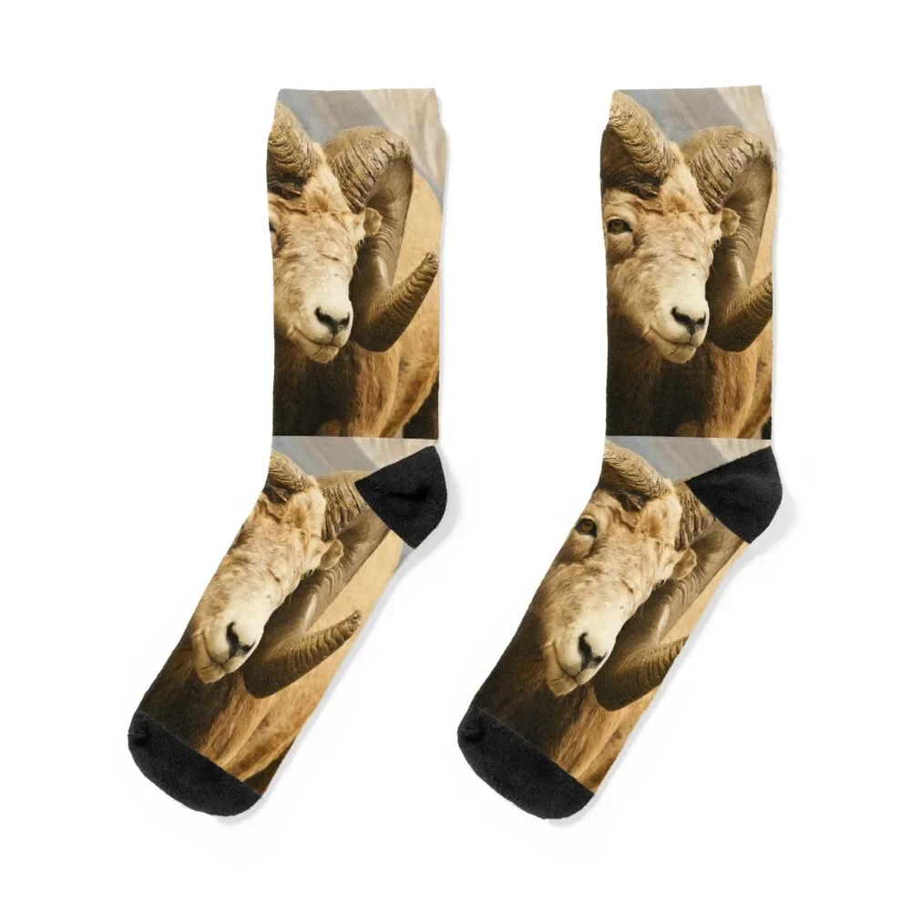 

Bigh Horn Sheep Socks hockey fashionable designer brand Christmas Women's Socks Men's