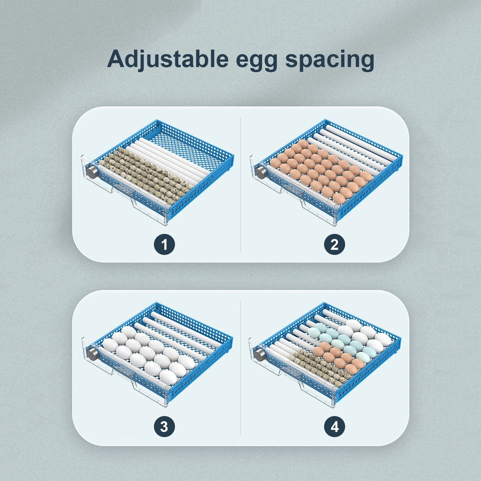 Incubator Small Home Automatic Intelligent Egg Turning Parrot Chicken Duck Goose Pigeon Incubator 48/64 Eggs Brooder