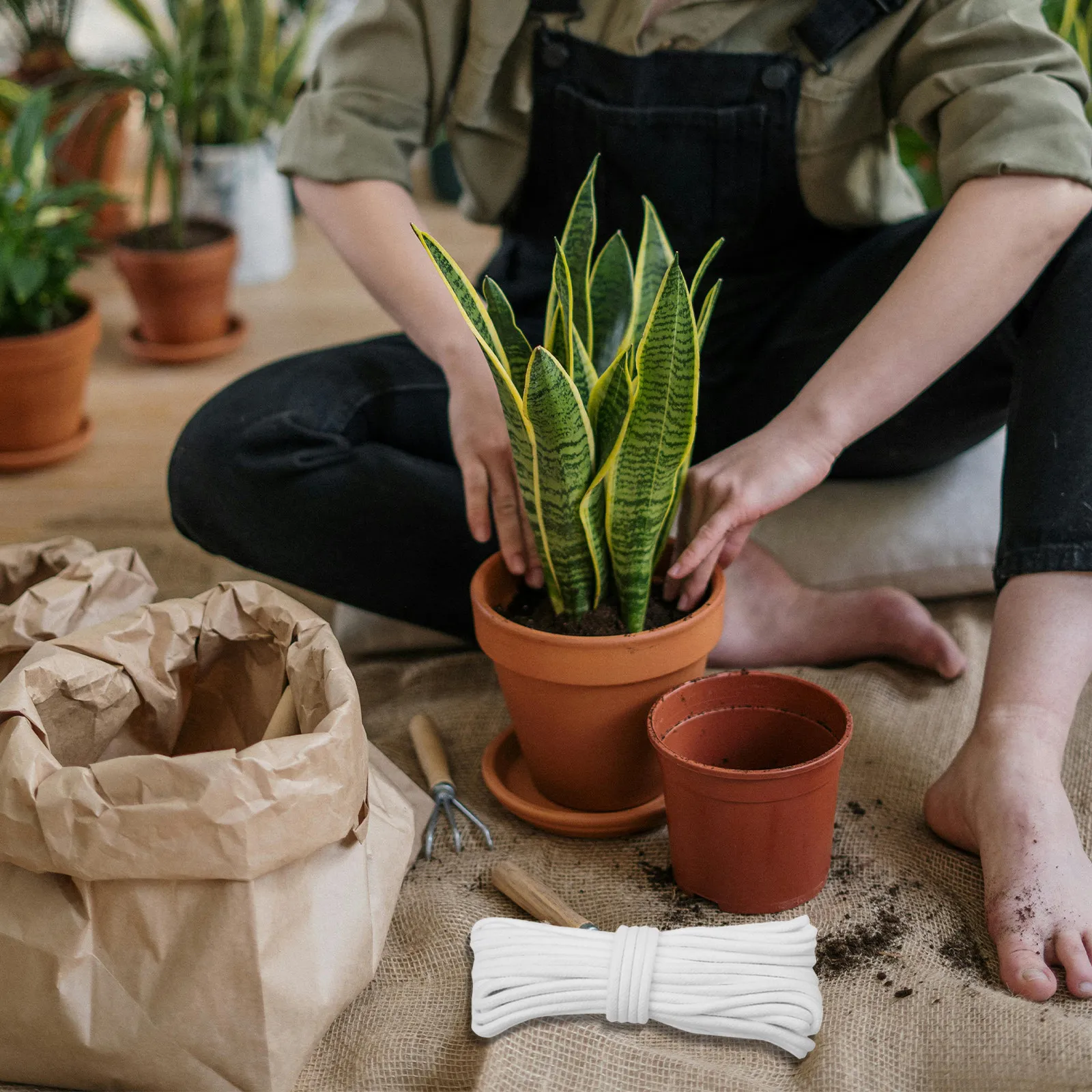 เชือกฝ้ายถักสีขาวแบบดูดซับน้ำอ - Automatic Plant Waterer บทวิจารณ์และราคา
