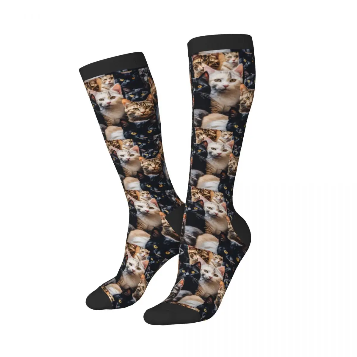 Stockings Funny Autumn Casual Warm Socks Cats Breeds Soft Winter Knee High Socks