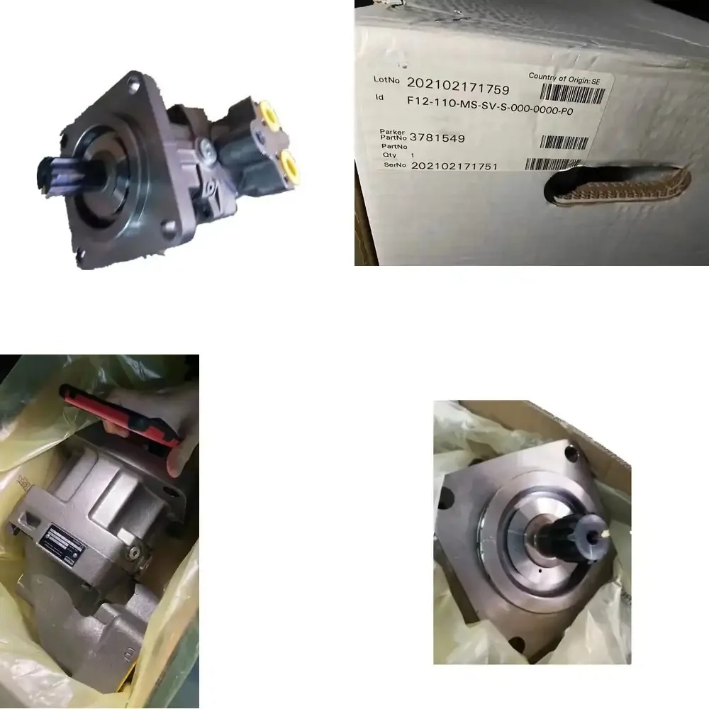 Motor de Pistón Hidráulico de Desplazamiento Fijo F11 F12 F12-30/40/60/80/110-RS/MF/MS-CV/IV/SV/IH/SH/TH-D/K/S/T